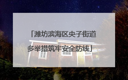 潍坊滨海区央子街道多举措筑牢安全防线