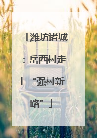 潍坊诸城：岳西村走上“强村新路”