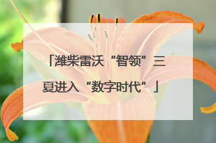潍柴雷沃“智领”三夏进入“数字时代”