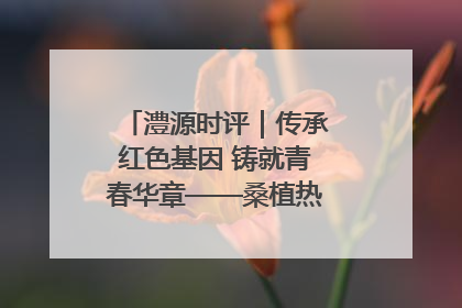 澧源时评｜传承红色基因 铸就青春华章——桑植热土上的青春长征