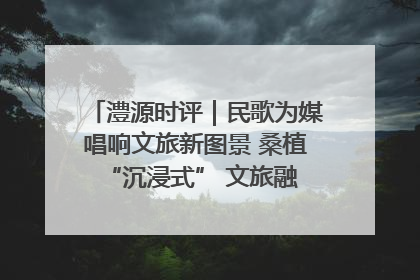 澧源时评｜民歌为媒唱响文旅新图景 桑植 “沉浸式” 文旅融合的破圈启示