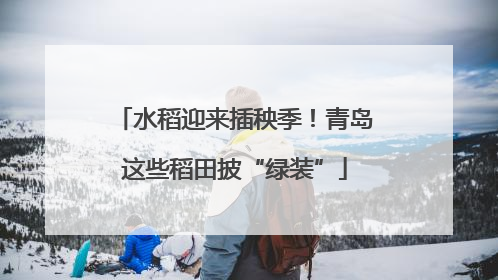 水稻迎来插秧季！青岛这些稻田披“绿装”