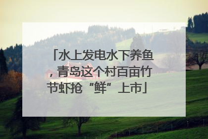 水上发电水下养鱼，青岛这个村百亩竹节虾抢“鲜”上市
