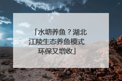 水塘养鱼？湖北江陵生态养鱼模式环保又增收