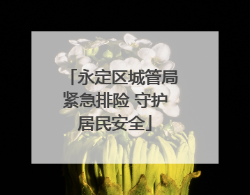 永定区城管局紧急排险 守护居民安全