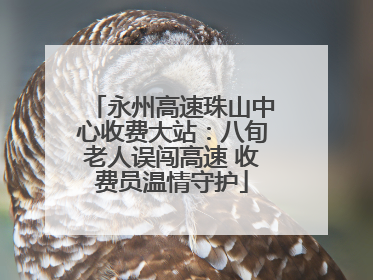 永州高速珠山中心收费大站：八旬老人误闯高速 收费员温情守护