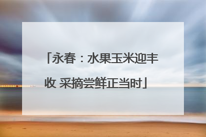 永春：水果玉米迎丰收 采摘尝鲜正当时