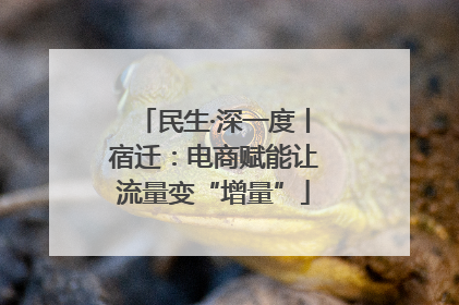 民生·深一度丨宿迁：电商赋能让流量变“增量”
