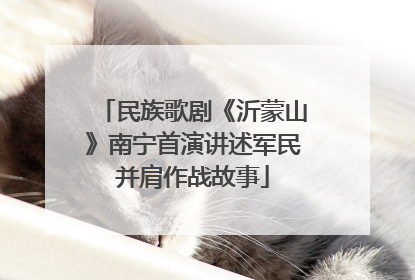 民族歌剧《沂蒙山》南宁首演讲述军民并肩作战故事