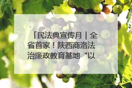 民法典宣传月｜全省首家！陕西商洛法治廉政教育基地“以案说纪”润人心