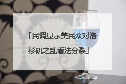 民调显示美民众对洛杉矶之乱看法分裂