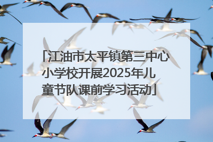 江油市太平镇第三中心小学校开展2025年儿童节队课前学习活动
