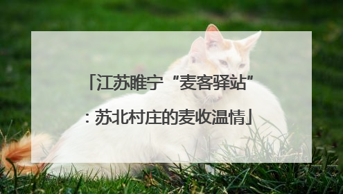 江苏睢宁“麦客驿站”：苏北村庄的麦收温情