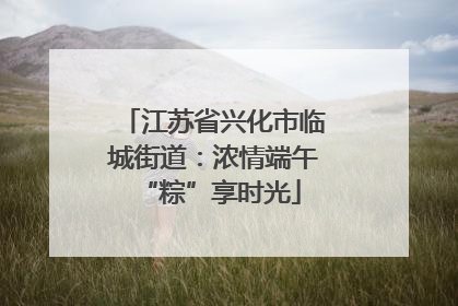 江苏省兴化市临城街道：浓情端午 “粽”享时光