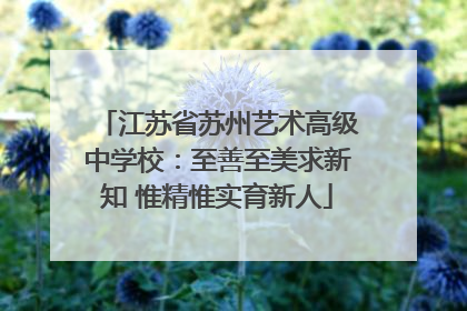 江苏省苏州艺术高级中学校：至善至美求新知 惟精惟实育新人