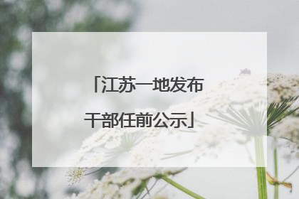 江苏一地发布干部任前公示