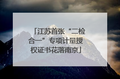 江苏首张“二检合一”专项计量授权证书花落南京