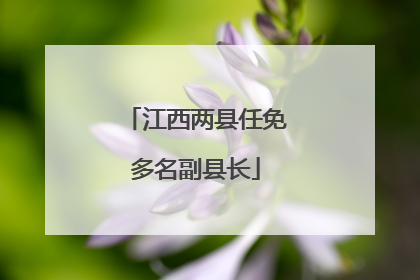 江西两县任免多名副县长