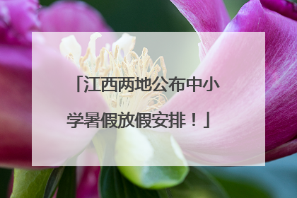 江西两地公布中小学暑假放假安排！