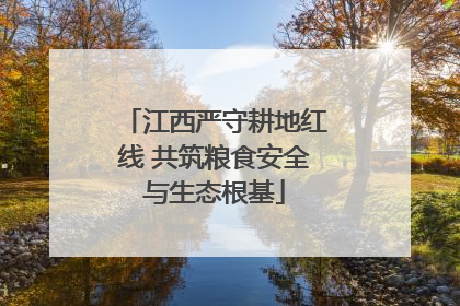 江西严守耕地红线 共筑粮食安全与生态根基
