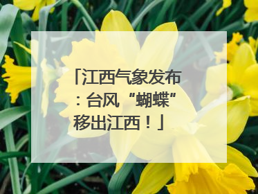 江西气象发布：台风“蝴蝶”移出江西！