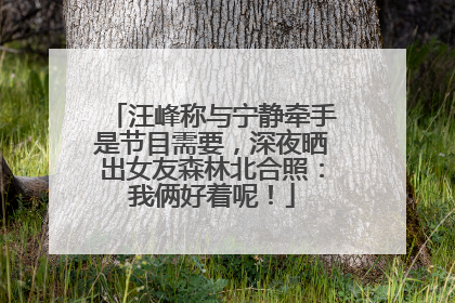 汪峰称与宁静牵手是节目需要，深夜晒出女友森林北合照：我俩好着呢！