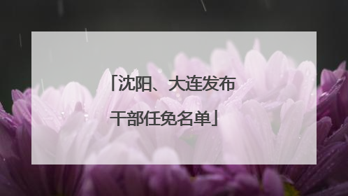 沈阳、大连发布干部任免名单