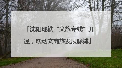 沈阳地铁“文旅专线”开通，跃动文商旅发展脉搏