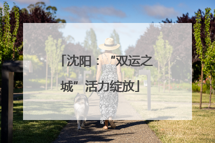 沈阳：“双运之城”活力绽放