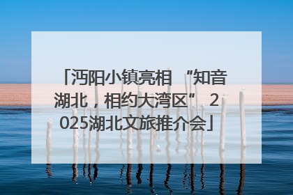 沔阳小镇亮相 “知音湖北，相约大湾区” 2025湖北文旅推介会