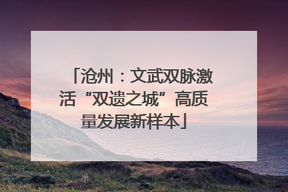 沧州：文武双脉激活“双遗之城”高质量发展新样本