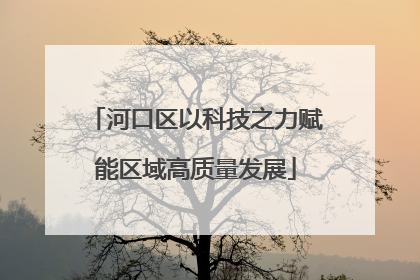 河口区以科技之力赋能区域高质量发展