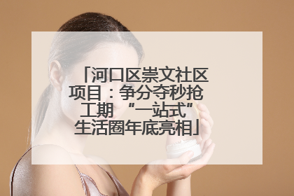 河口区崇文社区项目：争分夺秒抢工期 “一站式”生活圈年底亮相