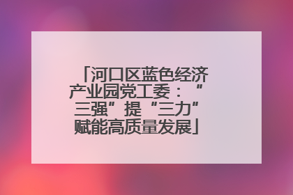 河口区蓝色经济产业园党工委：“三强”提“三力”赋能高质量发展