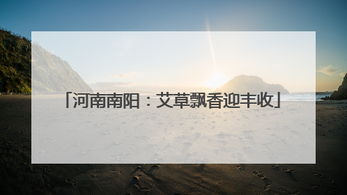 河南南阳：艾草飘香迎丰收