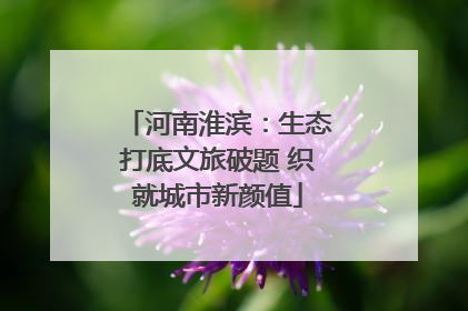 河南淮滨：生态打底文旅破题 织就城市新颜值