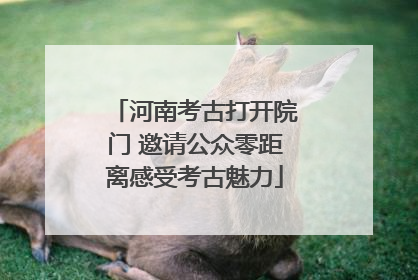 河南考古打开院门 邀请公众零距离感受考古魅力
