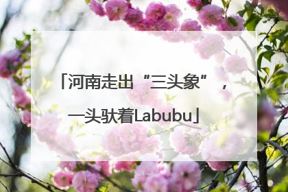 河南走出“三头象”，一头驮着Labubu