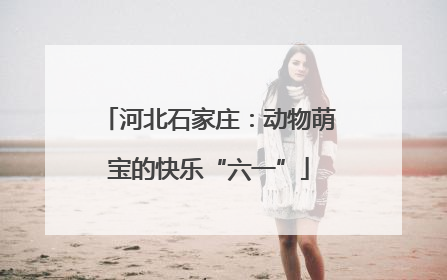 河北石家庄：动物萌宝的快乐“六一”