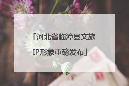 河北省临漳县文旅IP形象重磅发布