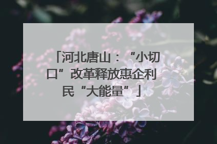 河北唐山：“小切口”改革释放惠企利民“大能量”