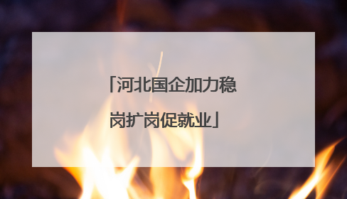 河北国企加力稳岗扩岗促就业