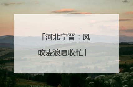 河北宁晋：风吹麦浪夏收忙