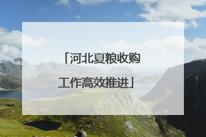 河北夏粮收购工作高效推进