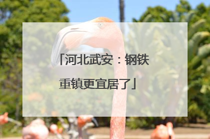 河北武安：钢铁重镇更宜居了