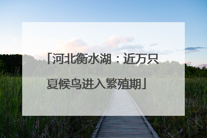 河北衡水湖：近万只夏候鸟进入繁殖期