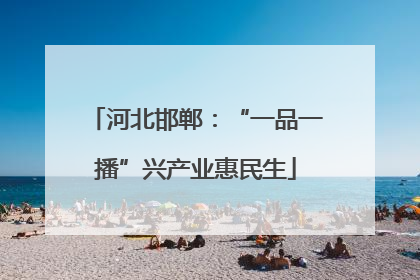 河北邯郸：“一品一播”兴产业惠民生