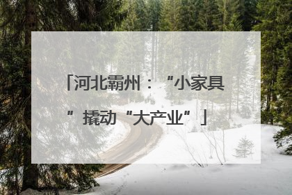 河北霸州：“小家具”撬动“大产业”