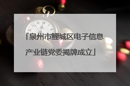 泉州市鲤城区电子信息产业链党委揭牌成立
