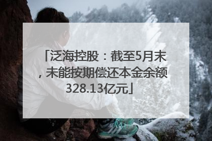 泛海控股：截至5月末，未能按期偿还本金余额328.13亿元